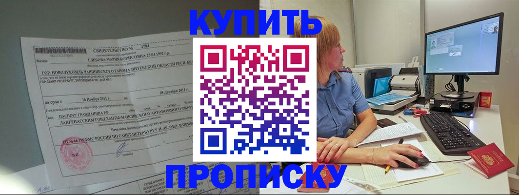 пропишу в квартире в Стародубе